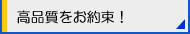 i񑩂ł闝RƂ́H