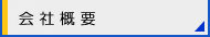 ЊTv