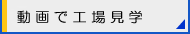 ōHꌩw